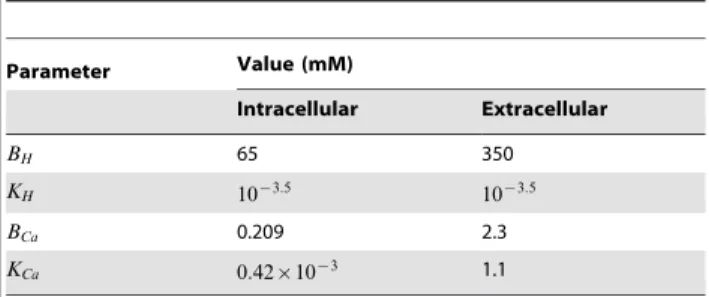Table 2. Intra and extracellular free ion concentrations.