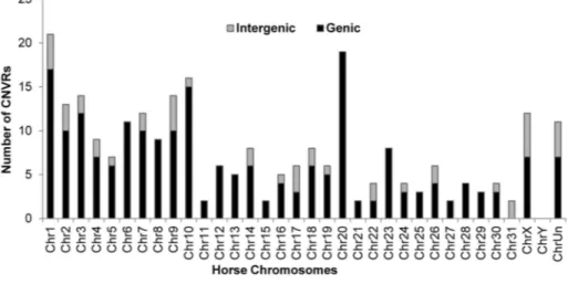 Figure 2. Chromosome-wise distribution of genic and intergenic CNVRs in the horse genome.