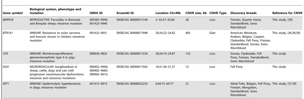 Table 3. Equine copy number variable genes with known mammalian phenotypes (OMIA; http://omia.angis.org.au/home/).