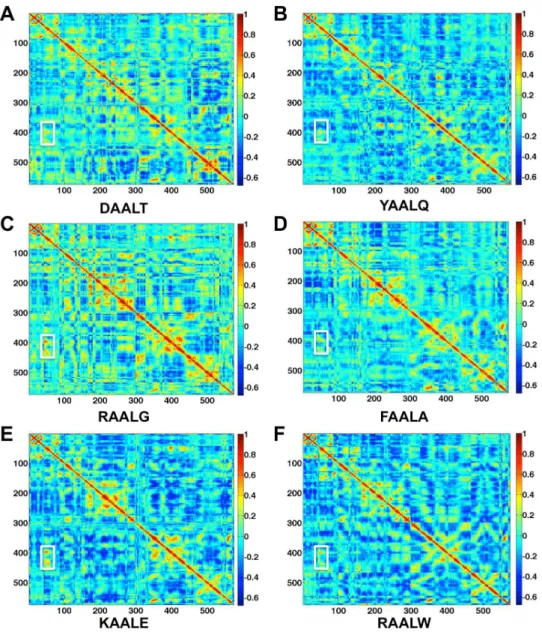 Figure 3. Correlation analysis of the motion during a 20-ns MD simulation of the CDK2/Cyclin/peptide complex structures.