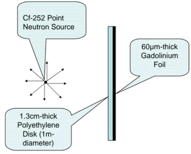 Fig. 1:  Schematic  of  neutron-gamma  problem  being  simulated 