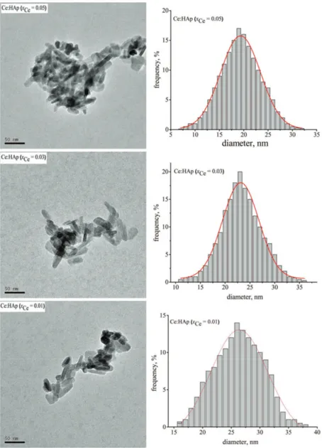 Fig. 3. TEM images and size distribution of Ce:HAp samples (x Ce  = 0.01 (A),  0.03 (B) and 0.05 (C))