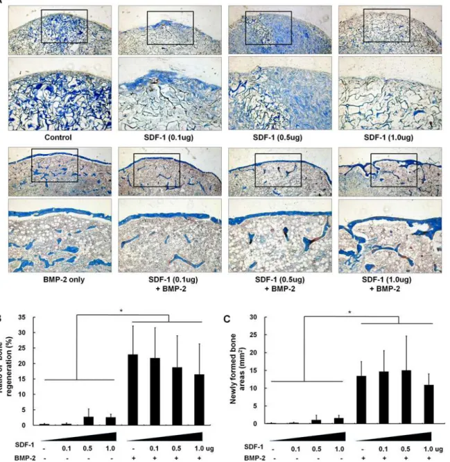 Fig 2. Histological findings of ectopic bone formation after treatment with various concentrations of SDF-1 with/without BMP-2
