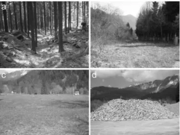 Fig. 8. Photographs of landforms related to the roughness index map (Fig. 7): (a) debris-flow deposits and levees, (b) a pipeline, (c) distal fan area with a smoothed surface, (d) quarry deposit.