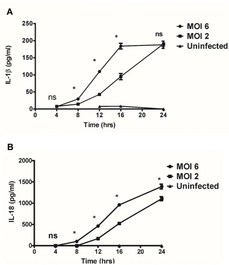 Fig 3. Kinetics and dose-dependent mechanisms of secretion of IL-1β and IL-18 by Rickettsia-infected BMMs