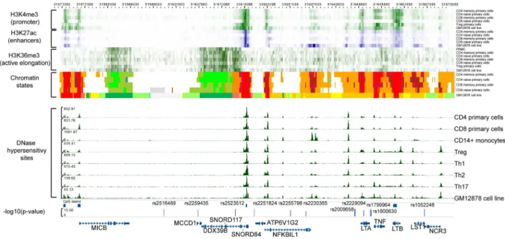 Figure 3. Functional annotation of the MICB-LST1 . The first 6 rows are H3K4me3 (green) data for CD4 memory primary cells, CD4 naı¨ve primary cells, CD8 memory primary cells, CD8 naı¨ve primary cells, Treg primary cells, and GM12878 cell line (B-lymphocyte