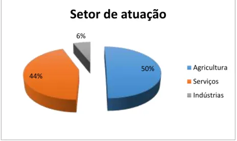 Figura 5. Setor de atuação  Fonte: Dados da pesquisa, 2014. 