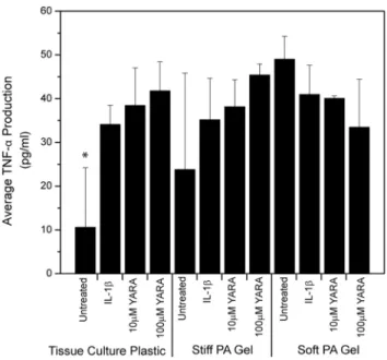 Figure 6. Uptake of 3 mM FITC-YARA in mesothelial cells seeded at low density. Cells were seeded at 21,000 cells/cm 2 and uptake was evaluated using (A) flow cytometry or (B) confocal microscope on tissue culture plastic, and (C) confocal microscope on pol