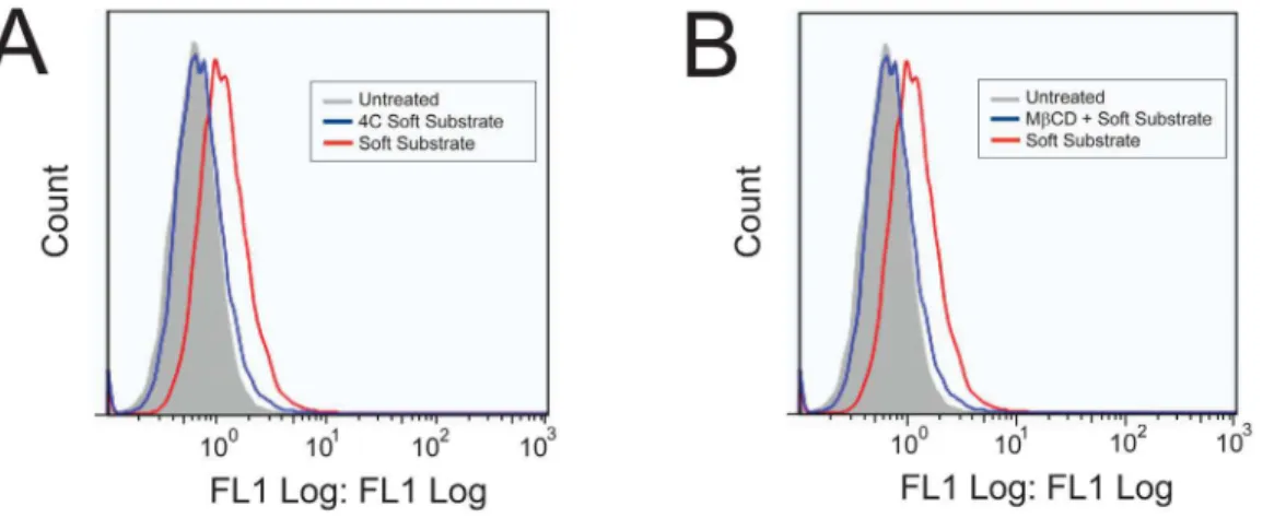 Figure 8. Uptake of 3 mM FITC-YARA in mesothelial cells seeded at high density. Cells on polyacrylamide gel substrates or tissue culture plastic were seeded at 71,000 cells/cm 2 and uptake was evaluated using flow cytometry.