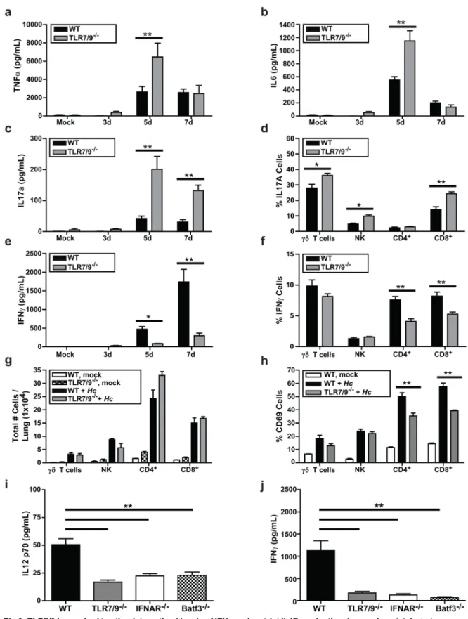 Fig 6. TLR7/9 is required to stimulate optimal levels of IFNγ and restrict IL17 production