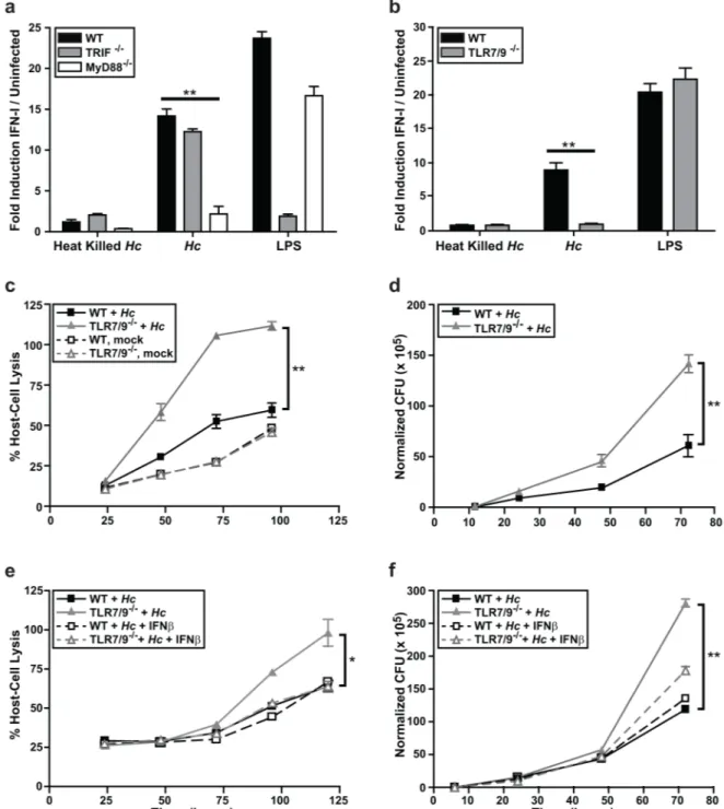 Fig 2. IFN-I production and Histoplasma restriction in DCs is dependent on MyD88, TLR7, and TLR9 signaling
