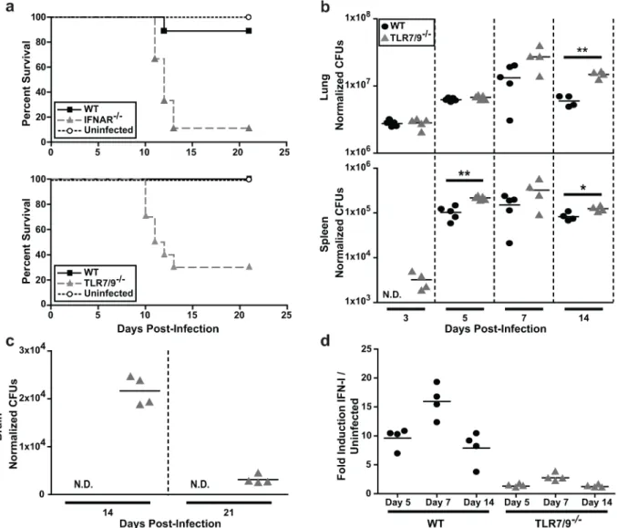 Fig 3. TLR7/9 are critical for IFN-I production and host survival in the mouse model of Histoplasma infection