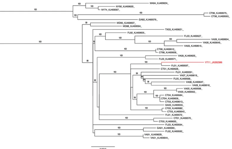 Fig 2. A maximum likelihood tree for 42 full genome sequences of EEEV isolates isolated from eastern US