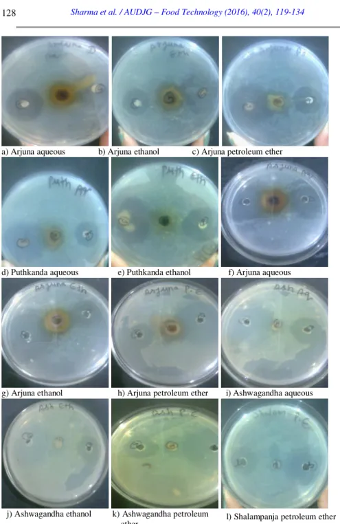 Figure 1. Photographic representation of disc diffusion assay: effect of Arjuna extracts (a,  b, c) and Puthkanda extracts (d, e) against Yersinia enterocolitica; Agar well diffusion  assay showing the effect of Arjuna extracts (f, g, h) Ashwagandha extrac