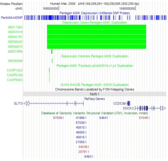 Figure 1. Duplication of 5q35.1 impacting SLIT3 observed in 5 unrelated MDD cases. The coverage of SNPs on the Perlegen 600 K array is shown across the 5q35.1 locus with vertical blue lines