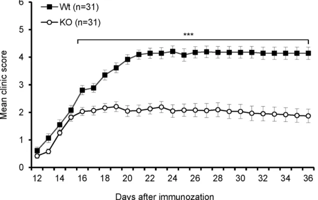 Fig 2. B7-H3 KO mice are resistant to EAE. EAE incidence and severity in wild type and B7-H3 KO mice