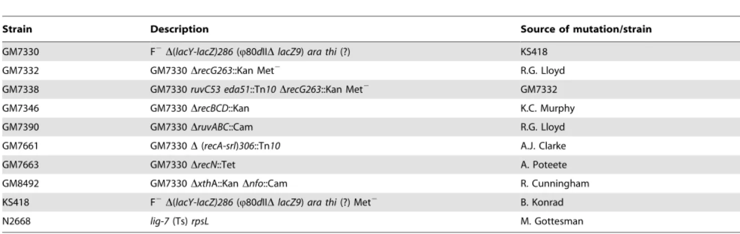 Table S1 Gene Chip 2.0 values from GM7330 cells exposed or not to BLM in L broth and minimal medium.
