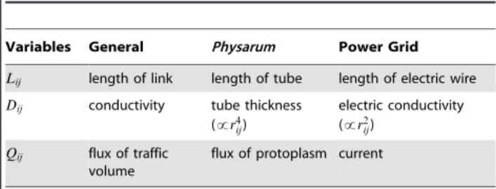 Figure 1. Network topology used by the Physarum algorithm for numerical calculation.