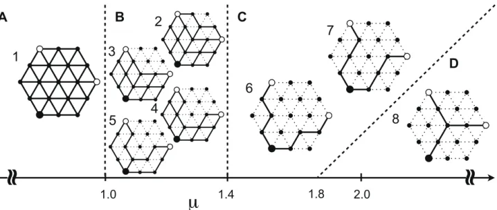 Fig. 2B). The tree networks are categorized into two types, V- V-shaped (types 6 and 7; Fig