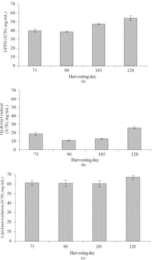 Fig. 1.  Antioxidant activities (DPPH radical scavenging (a), Hydroxyl radical scavenging (b) and Lipid peroxi-dation assay (c)) of  unripe banana flours obtained from banana fruits harvested at different maturation days