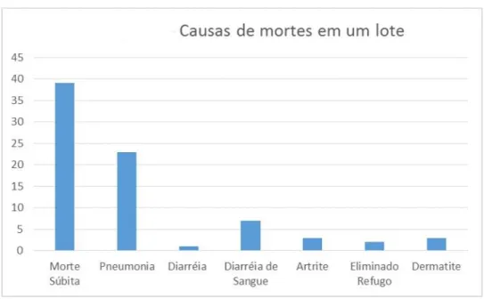 Gráfico 2. Causas da morte de um lote   Fonte: Dados da pesquisa, 2015. 