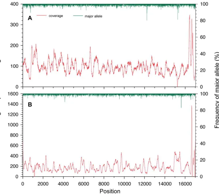 Figure 2. Sequence coverage (in red) and frequency of the major allele (in green) of each base pair along the mitogenomes of BMNH1149 (upper) and BMNH1389 (lower)