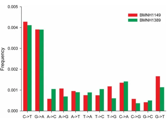 Figure 4. Frequency for 12 categories of sequence mismatches for raw read sequences against the consensus sequence of mitogenomes of BMNH1149 (in green) and BMNH1389 (in red).