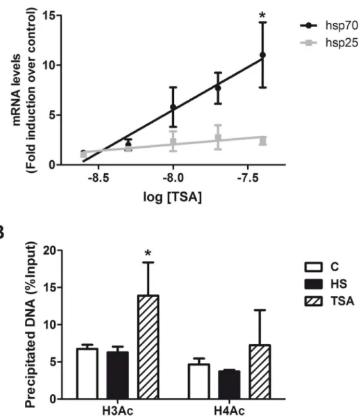 Fig 6. Augmented H3Ac mediated by HDACs inhibition is associated with increased expression of Hsp70 in cortical neurons
