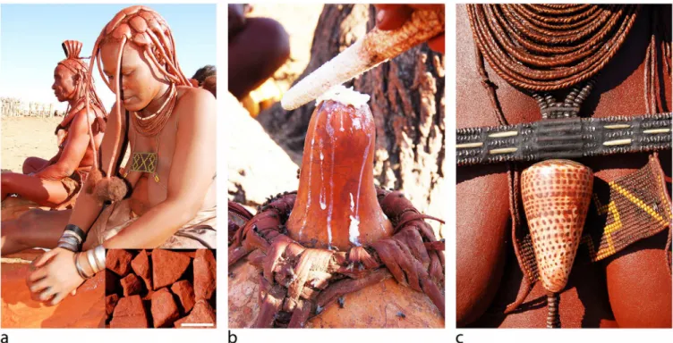 Fig 2. The production and application of otjise. (A) Red ochre powder is obtained by grinding chunks (inset—scale bar is 1cm) between a round upper and a flat lower grindstone, (B) after which it is mixed (at a 1:1 ratio between the palms) with milk-derive
