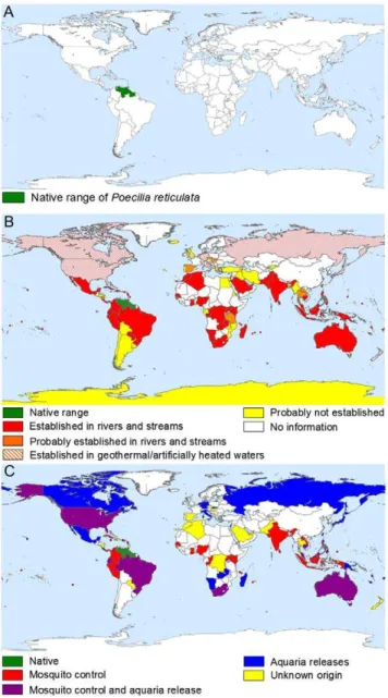 Figure 2. Cumulative percentage of countries subject to guppy introductions over time