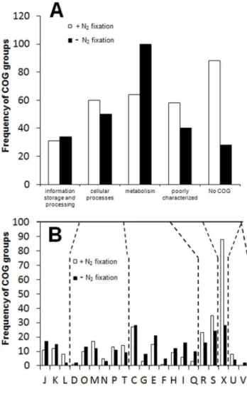 Figure 1. Distribution of differentially regulated genes of Azoarcus sp. strain BH72 according to COG categories