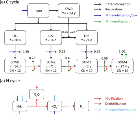 Figure 1. The reaction network for the carbon (a) and nitrogen (b) cycles implemented in this work