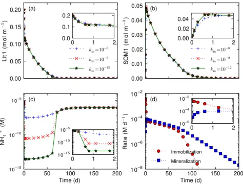 Figure 2. Influence of half saturation k m on decomposition that involves both nitrogen immobilization and mineralization