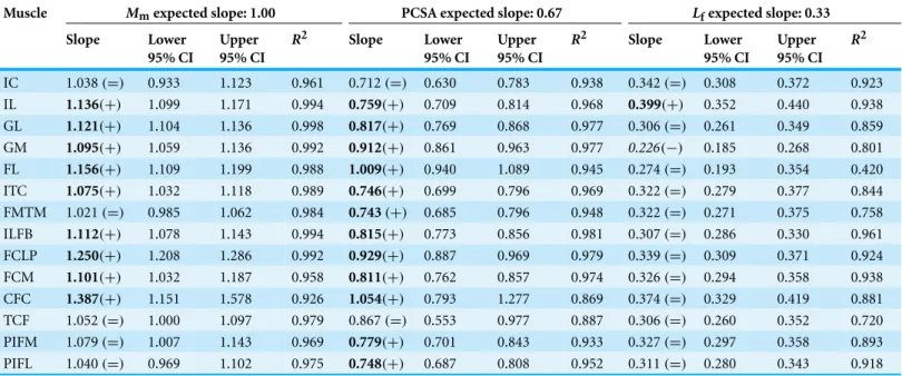 Table 4 RMA regression analyses. Data here are the RMA regression analyses that were used to determine the linear relationships between pelvic limb muscle architecture and body mass
