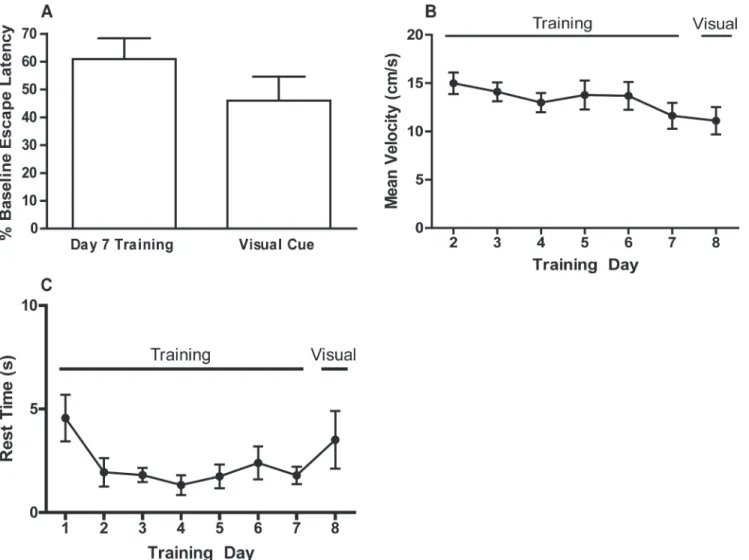 Fig 3. Results of the visual cue test. (A) Escape latency on d 7 of training and during the visual cue test expressed as a percentage of baseline escape latency (escape latency on the first training day)