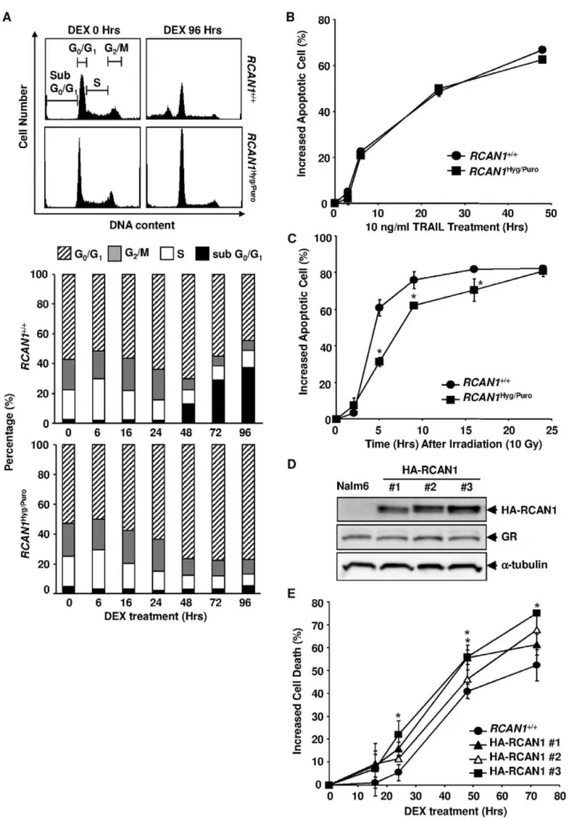 Figure 4. The effects of altered RCAN1 expression on the cell cycle and apoptosis. (A) Flow cytometric profiles of DNA content after the GC treatment