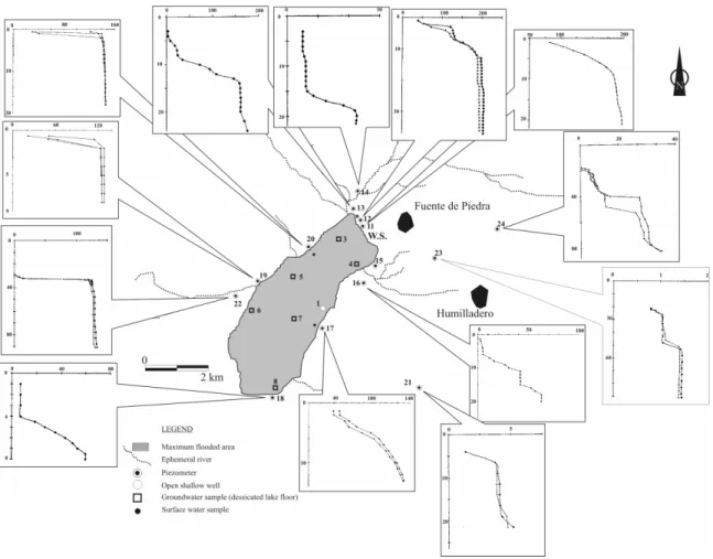 Fig. 3: The location of piezometers and sampling sites in Fuente de Piedra Playa Lake