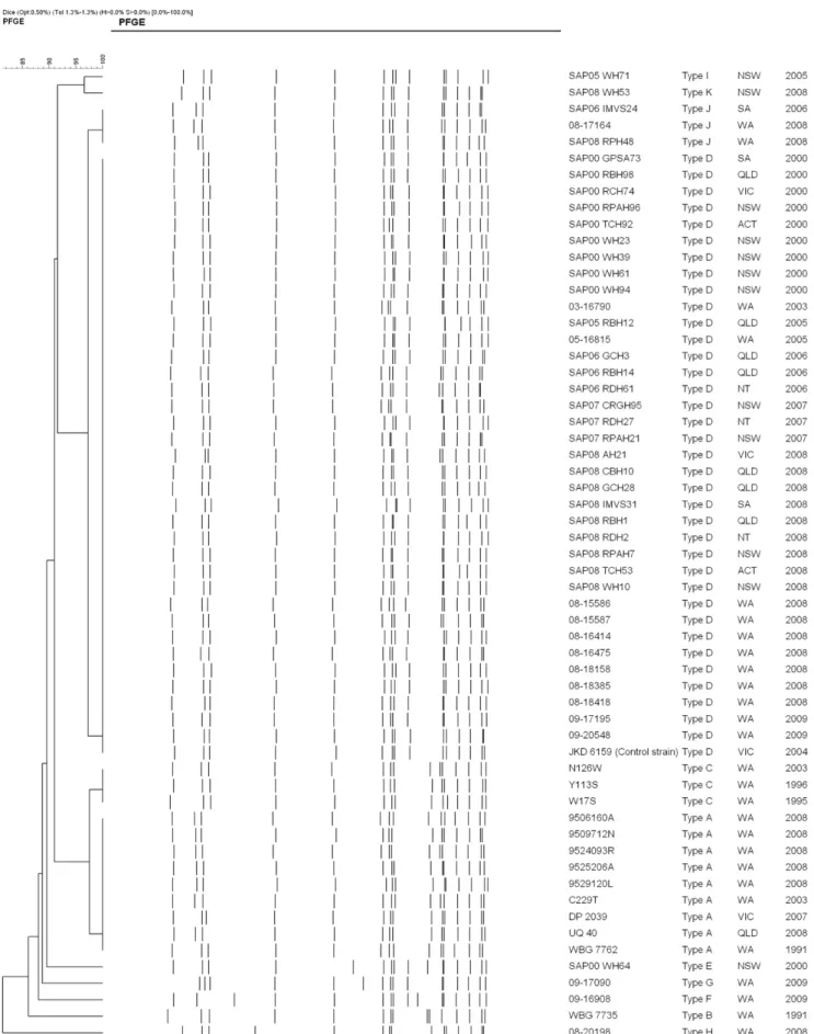 Figure 1. Dendrogram of the 58 pulsed-field gel electrophoresis patterns (PFGE) of ST93 (13 MSSA and 45 MRSA)