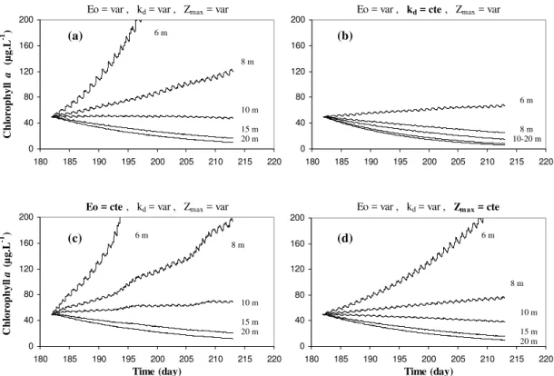 Fig. 12. First set of simulations, days 182 to 212 (1–30 July): Evolution of the net algal biomass (expressed in chlorophyll a) computed over a 30-days period for a range of bathymetry