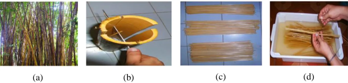 Figura 1. Extração das fibras de bambu ao corte dos colmos, filetes de bambu e desfibramento manual