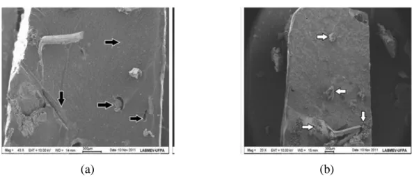Figura 3. Microscópio Eletrônico de Varredura (MEV) superfície de fratura do compósito de bambu de 5 mm  (a) e de 15 mm (b)