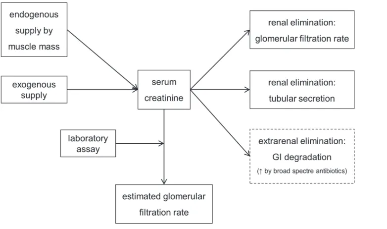 Fig 1. Determinants of serum creatinine level.