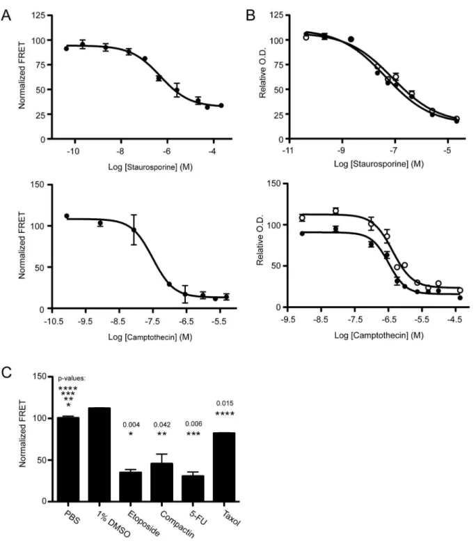 Figure 4. Cell-based FRET biosensor provides a quantifiable response to treatments of death receptor targeted cancer therapies.