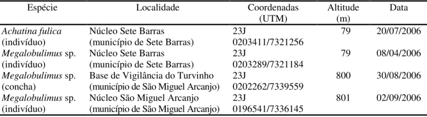 TABELA 1 – Localidades de ocorrência de Achatina fulica e Megalobulimus sp. no Parque Estadual Carlos Botelho