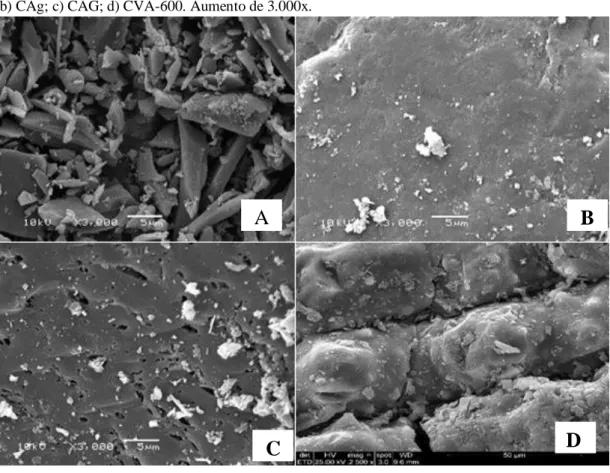 Figura 2. Imagens de microscopia eletrônica de varredura para os adsorventes estudados: a) CAP; 