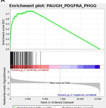 Figure 5. PDGFRA amplification/mutation is driving the oncogenesis of the oligodendroglial/proneural type of DIPG