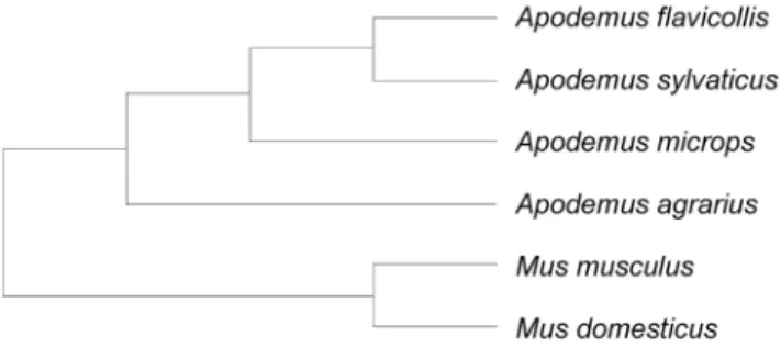 Table 1. Generalised linear least square tests of: a) the effect of the relative testis weight (proxy measure for  post-copulatory sexual selection) on sperm length traits, b) the effect of hook length on its variation c) the effect of sperm tail length on