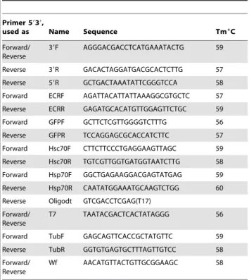 Table 3. Primers used in this study.