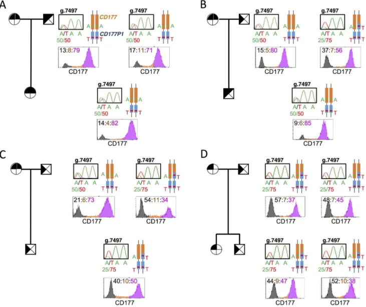 Fig 5. An inheritable phenotype of CD177 determined by ratio of CD177/CD177P1 alleles
