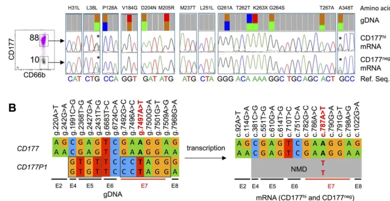 Fig 6. Analysis of CD177 variations and CD177P1 divergence from gDNA and cDNA sequence